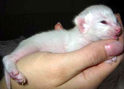 Foto: Hetty Zonnebeld