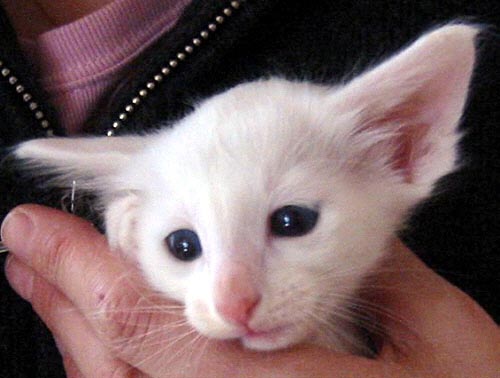 Foto: Hetty Zonnebeld