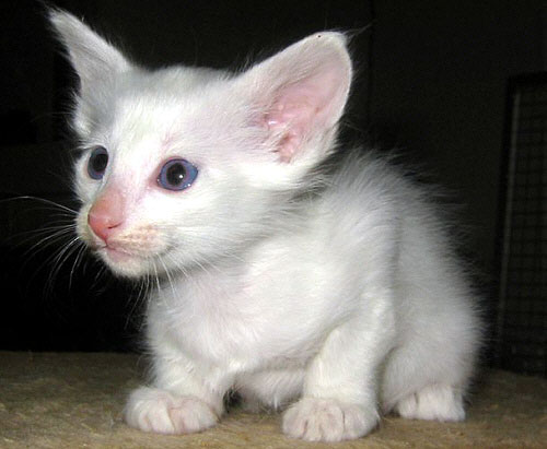 Foto: Hetty Zonnebeld