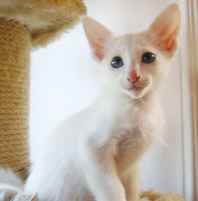 Foto: Hetty Zonnebeld