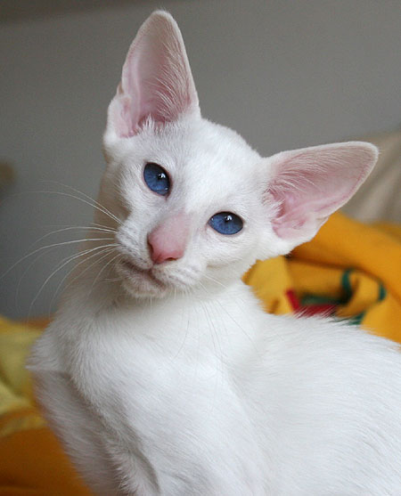 Foto: Carolin Skirl