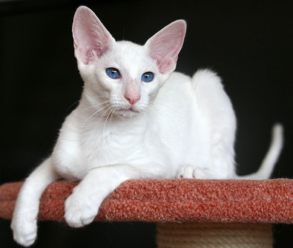 Foto: Carolin Skirl