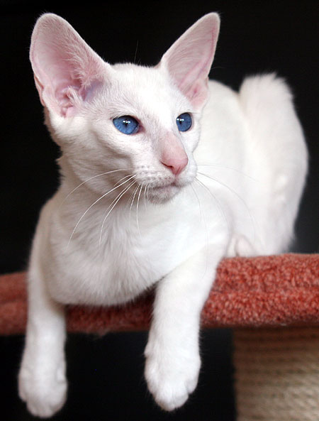 Foto: Carolin Skirl