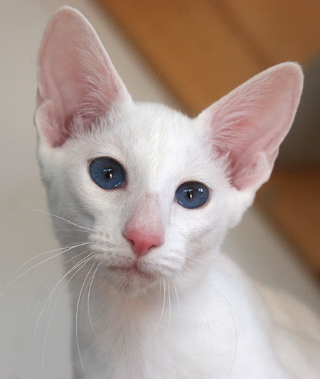 Foto: Carolin Skirl