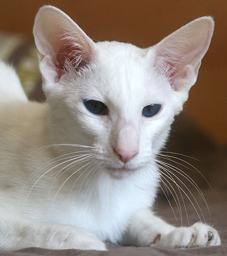Foto: Carolin Skirl