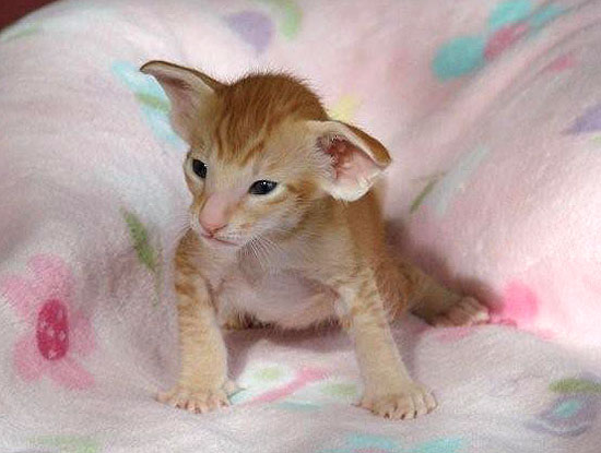 Foto: Marta Kilczewska