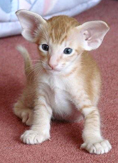 Foto: Marta Kilczewska