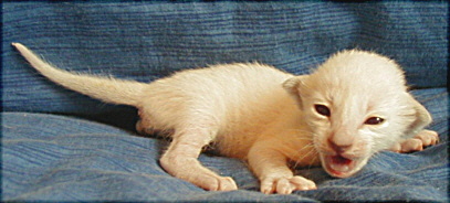 Foto: Michael Gähle