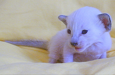 Foto: Michael Gähle