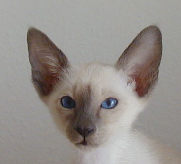 Foto: Michael Gähle