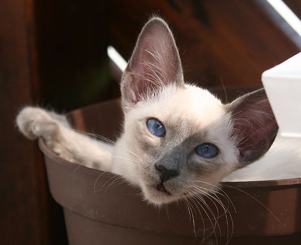 Foto: Carolin Skirl