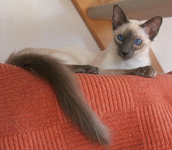 Foto: Carolin Skirl