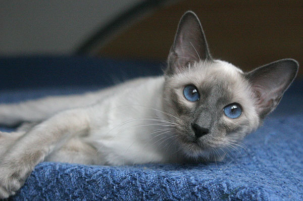 Foto: Carolin Skirl