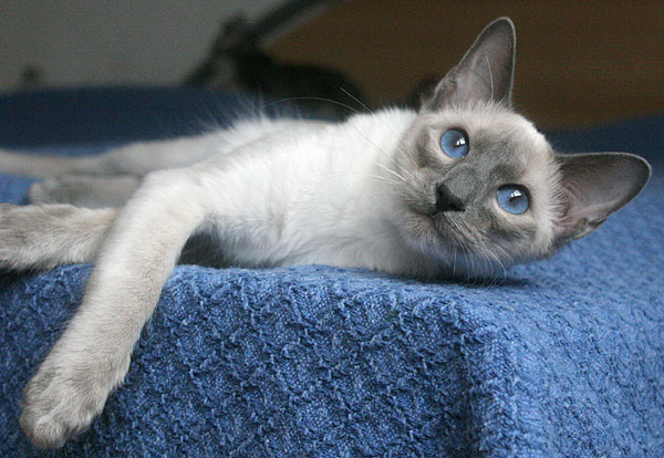 Foto: Carolin Skirl