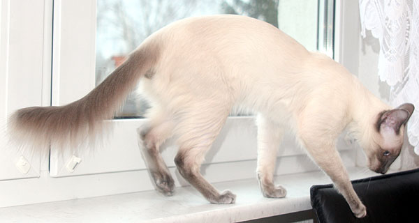 Foto: Carolin Skirl