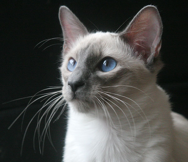 Foto: Carolin Skirl