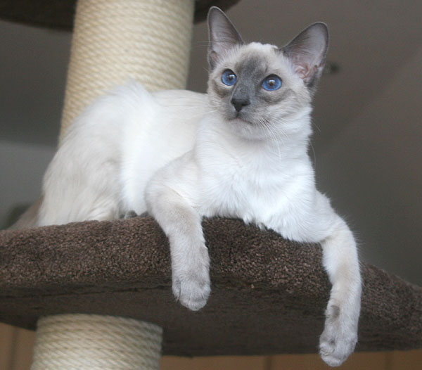 Foto: Carolin Skirl