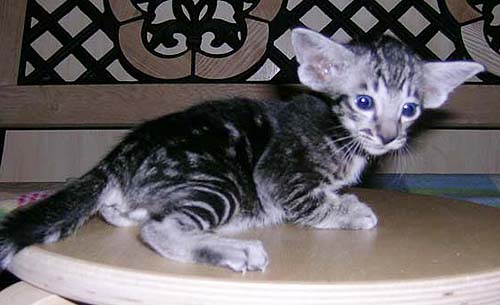 Foto: Svetlana Kustova