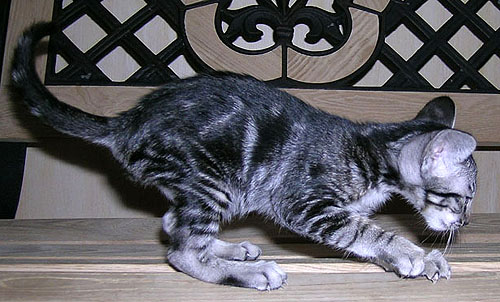 Foto: Svetlana Kustova