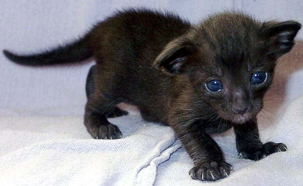 Foto: S. Cramer-Rößner