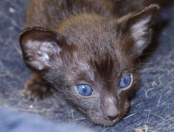 Foto: S. Cramer-Rößner