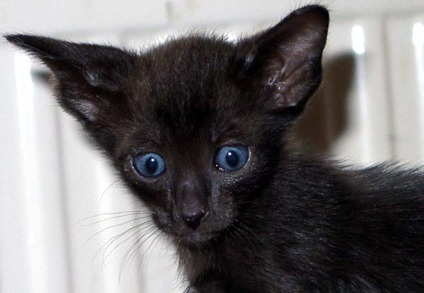 Foto: S. Cramer-Rößner