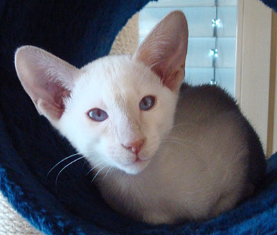 Foto: Marianne Reumer